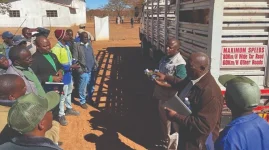Mvimi Safaris offers Bulilima two bulls for fatal animal attacks.webp