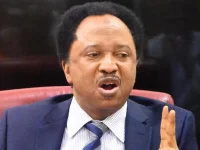 Sani scolds Nigeria over Buhari's comfortable London end.webp