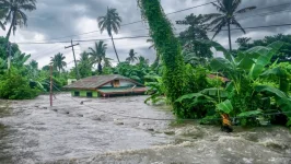 Jamaica faces an insurance crisis as 95 percent of homes are left wide open to ruin.webp