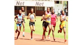 Is the University of Zimbabwe track a danger to athletes.webp