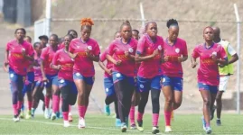 Chapungu and Herentals draw leaves title race in chaos.webp