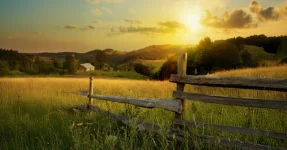 The great American farm is dead, bankruptcies surpass 2024 total.webp