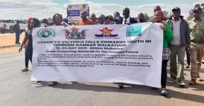 Pointless 800km Harare to Vic Falls walkathon won't save a single frog.webp