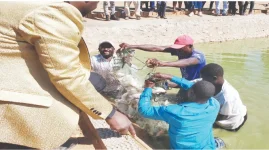 No one is coming to save us, say villagers in dying Mudzi.webp