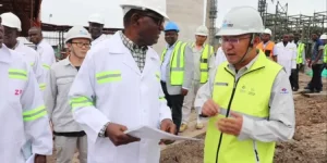Zimbabwe government unleashes visa purge on Chinese firms in Harare.webp