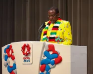 Mnangagwa in Osaka pitches broken Zimbabwe roads to Japanese investors.webp