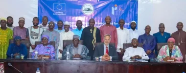 Gambian Assembly rocked by International IDEA diversity frenzy.webp
