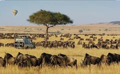 China takes over Kenya's famed Maasai Mara migration show.webp