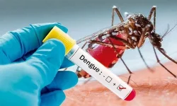 Dengue toll climbs in Dhaka as 114 hospitalized and one dead in 24 hours.webp