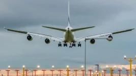 Ninety-five Dominicans flown home from the US as repatriations surge in 2025.webp
