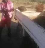 Masvingo teachers moonlight as illegal gold miners in the Fusira gold rush scandal.webp
