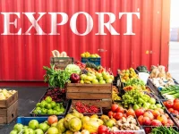 India's agricultural exports soar 7 percent to $5.96 billion in Q1 FY26.webp