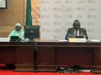 Pan-African Parliament demands reparations for people of African descent.webp
