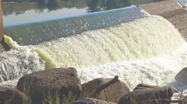 Water tests clear Limpopo River after algae scare, Beitbridge water safe for now.webp