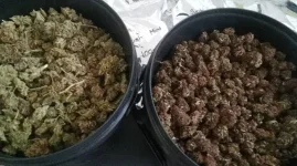 Bulawayo couple arrested with cocaine and high-grade cannabis in police raid.webp