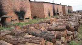 Zimbabwe's tobacco industry embraces sustainable curing methods with LPG and biogas testing.webp