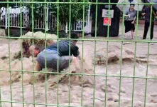 Rescue team saves man stuck in manhole as South Korea battles deadly floods.webp