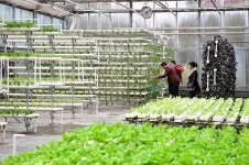 100 Pakistani agricultural professionals depart for China under PM's training program.webp