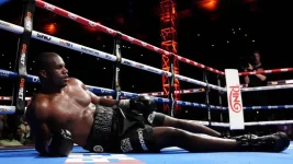 Usyk cements legacy with devastating knockout of Dubois at Wembley.webp