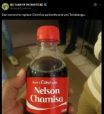 ZANU-PF hates Nelson Chamisa, loves Sengezo Tshabangu.webp
