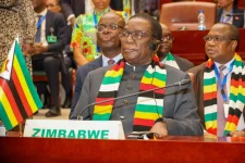 Mnangagwa touts investment in Equatorial Guinea, Japan, Algeria tour for SADC.webp