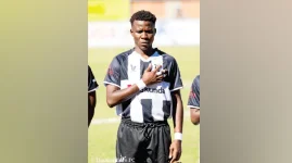 Dynamos' demise, TelOne's rise mark pivotal PSL week.webp