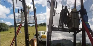 ZETDC rolls out cameras and alarms on 47000 transformers to fight vandalism.webp