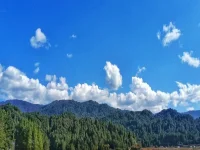 ICJ delivers landmark ruling on climate change obligations, holding states accountable for em...webp