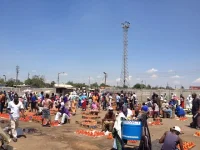 ZimStat census finds Zimbabwe's economy driven by informal micro-enterprises.webp