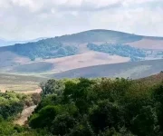 South African tourist still missing in Nyika National Park as search enters day seven.webp