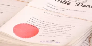 Zimbabwe mandates digital deed conversion, sets 24-month deadline.webp