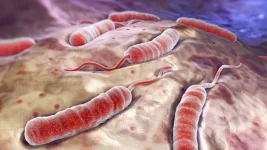 Cholera outbreak claims four lives in Elegu Town as Amuru district battles a surge.webp