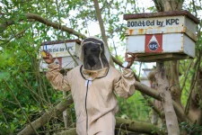 Thima Ahmed, Jomvu women build new lives from Tudor Creek trees.webp
