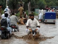 Pakistan monsoon fury kills 279, Punjab province worst hit.webp