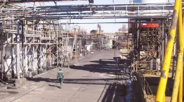 RioZim CEO decries union court bid as a hurdle to its revival.webp