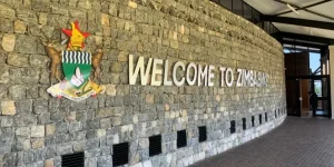 Beitbridge border shut as gas tanker scare halts South Africa, Zimbabwe traffic.webp