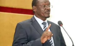 VP Mohadi ends removal speculation with tour of Disco plant.webp