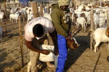 Swakop Uranium, Namibia govt offer Usakos farmers a lifeline.webp