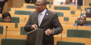 Zimbabwe's regulations reward illegality, Mthuli Ncube reveals.webp