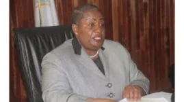 Matanda-Moyo says graft costs Zimbabwe US$2 billion annually.webp