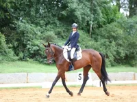 Stasya Pandya of ARC qualifies for Junior Nationals at Bengaluru equestrian event.webp