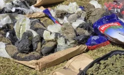 Police crush 53 Kwekwe drug bases, arrest 103 suspects.webp