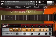 Orange Tree Samples captures the Spanish guitar in Honey Nylon.webp