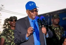 Chirwa in Dar es Salaam defends Mutharika's Blantyre absence.webp