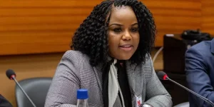 Fadzayi Mahere challenges Daniel Garwe as Harare vending ban faces legal fire.webp