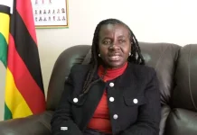 Zimbabwe queries South Africa over alleged denial of healthcare.webp