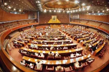 NA slams social media abuse, demands crackdown on illegal sharing of women's images.webp