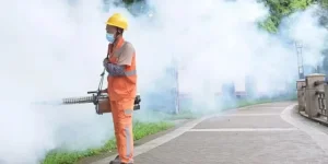 Chikungunya outbreak in China prompts Covid style state control.webp