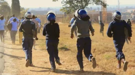 Zimbabwe blames doctors for deaths, moves to ban all health strikes.webp