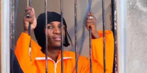 Mbare court lets Chillmaster trade livestock for Custon's life.webp